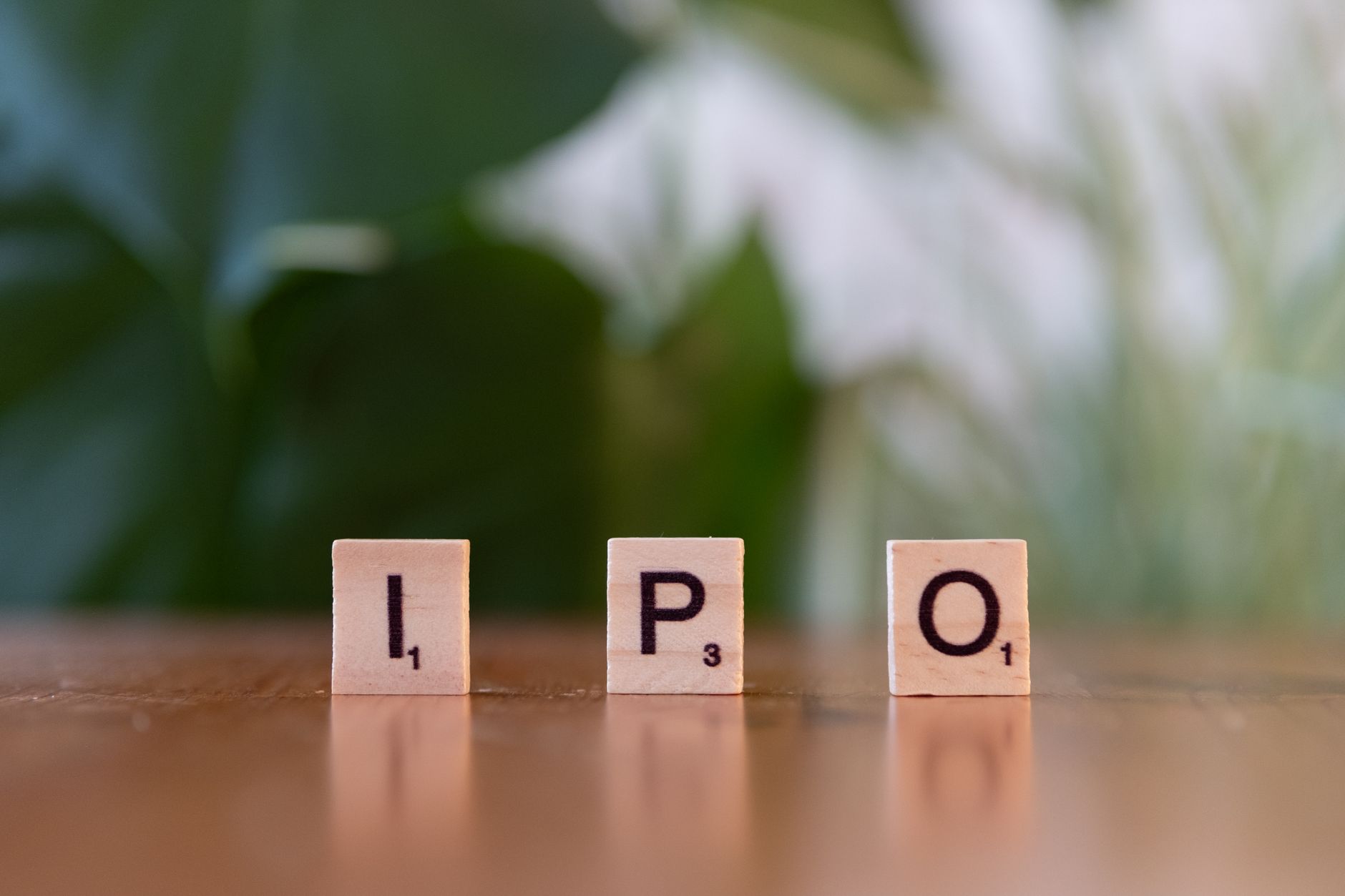 NSE IPO updates